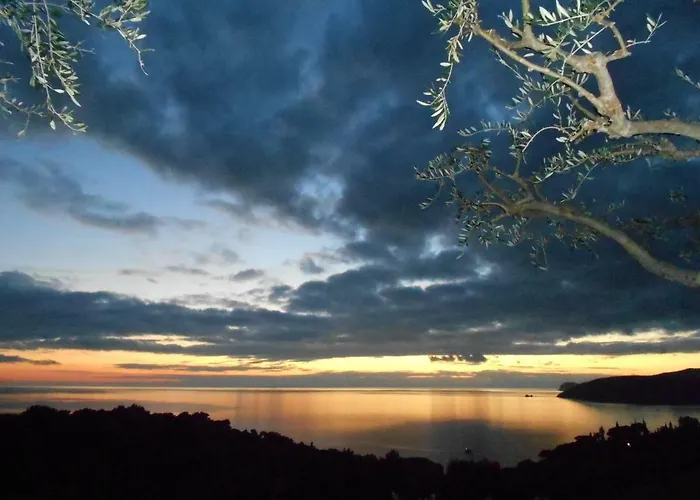 Villatramontistella *