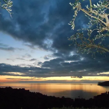 Villatramontistella *